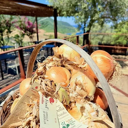 Baia Di Trentova Bed & Breakfast Agropoli