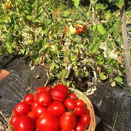 Baia Di Trentova 3* Agropoli