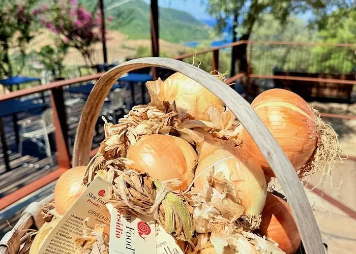 Baia Di Trentova Отель типа 